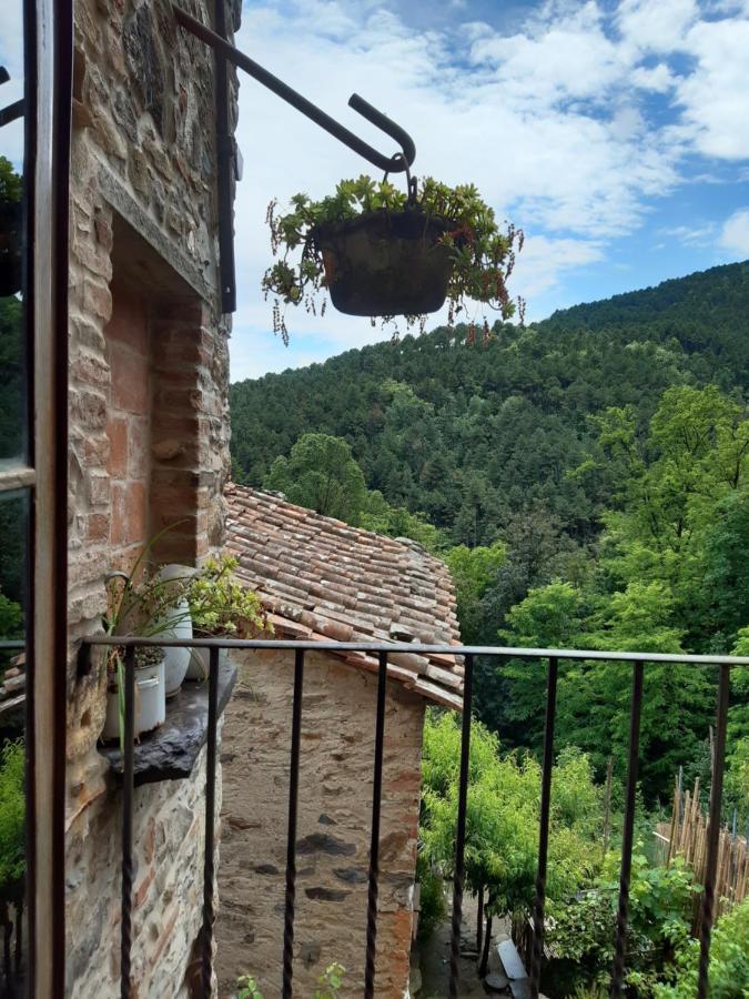 Locanda Del Capo Capannori Eksteriør bilde